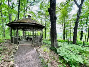 Stone Lake Wetland Park