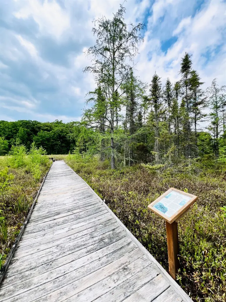 Stone Lake Wetland Park